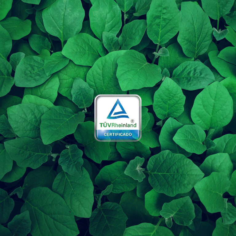 Nous disposons du certificat ISO 14001 pour Systèmes de Gestion Environnementale